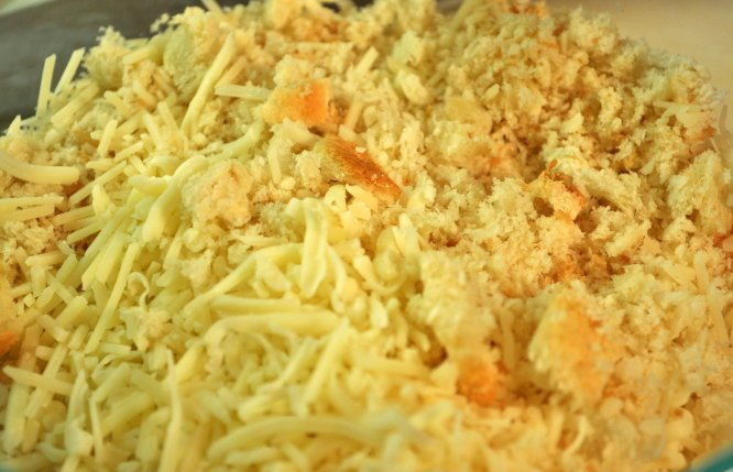 ��Ũ֥ʿ��ͨ�ķ۵�����