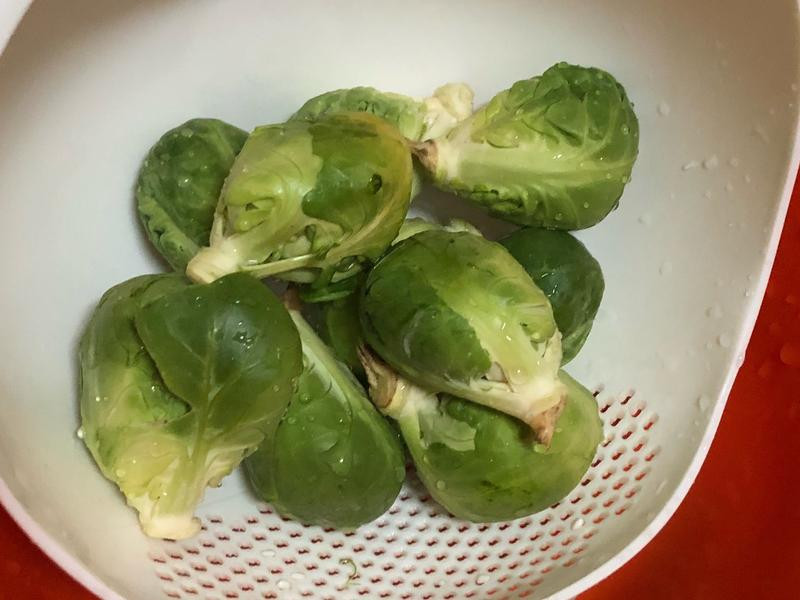 ����ѿ����������