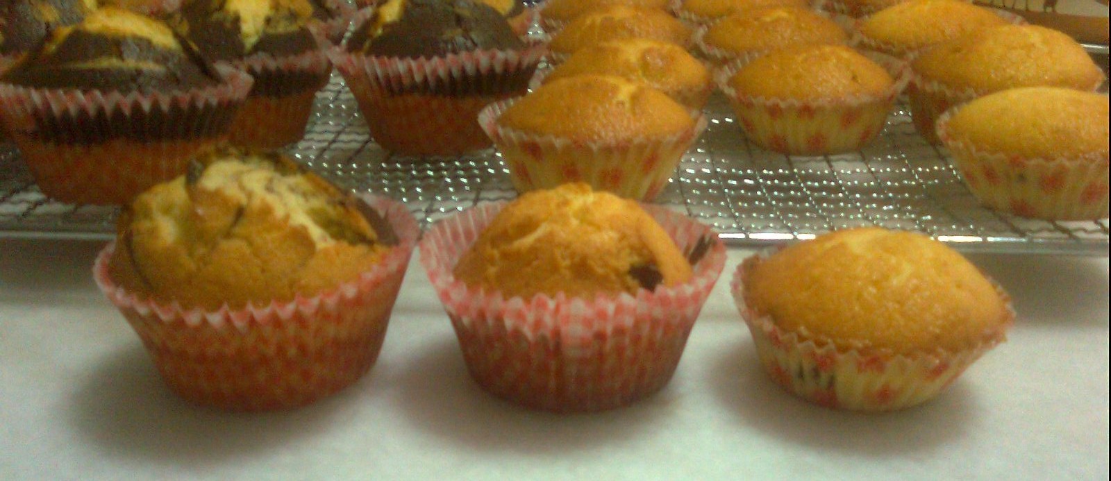 ���ˮ�����ӵ��������