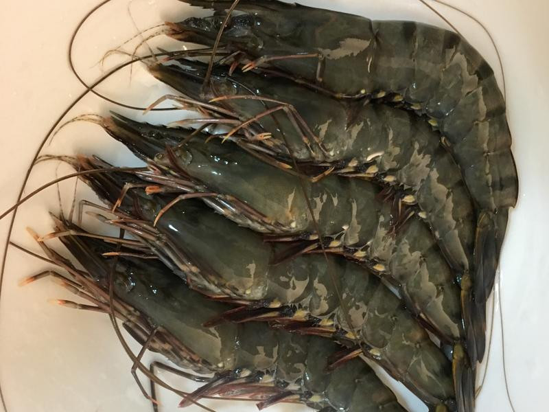 �ɼ����Ϻ����Һ������