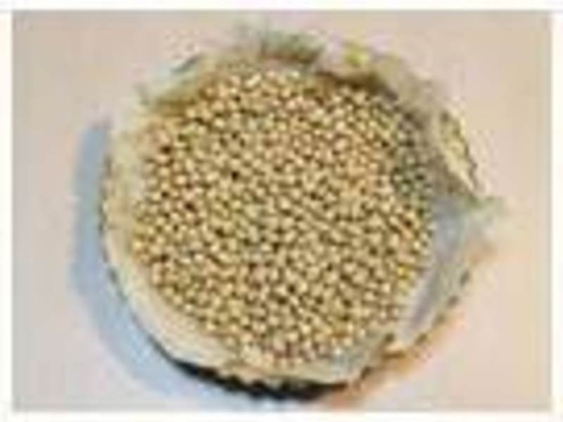 ������������������