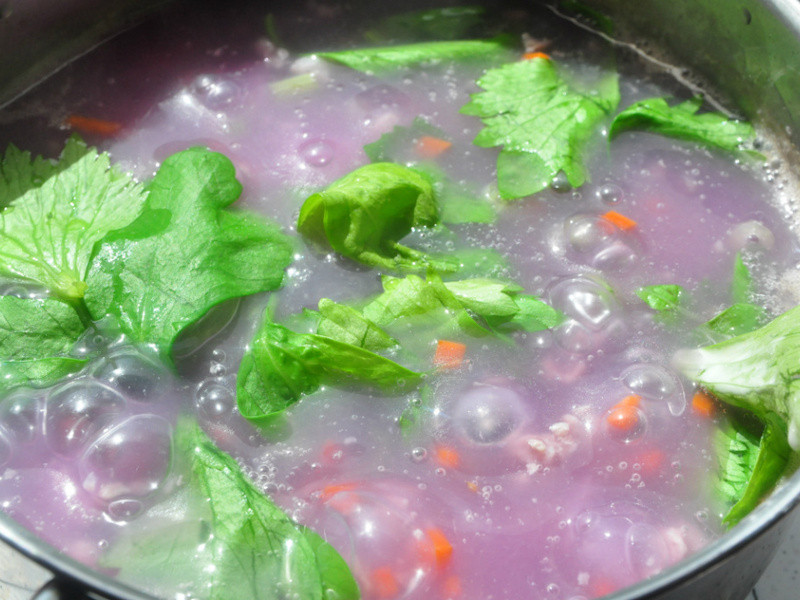 ��ɫɽҩ�����������