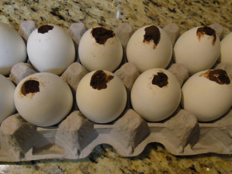 ����ڵ��ɿ����ɿɼ�������?!!!������