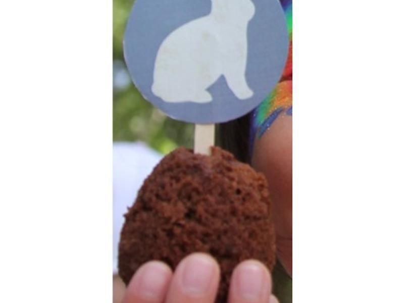 ����ڵ��ɿ����ɿɼ�������?!!!������