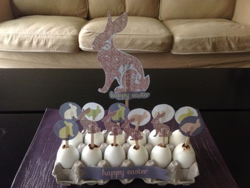 ����ڵ��ɿ����ɿɼ�������?!!!������