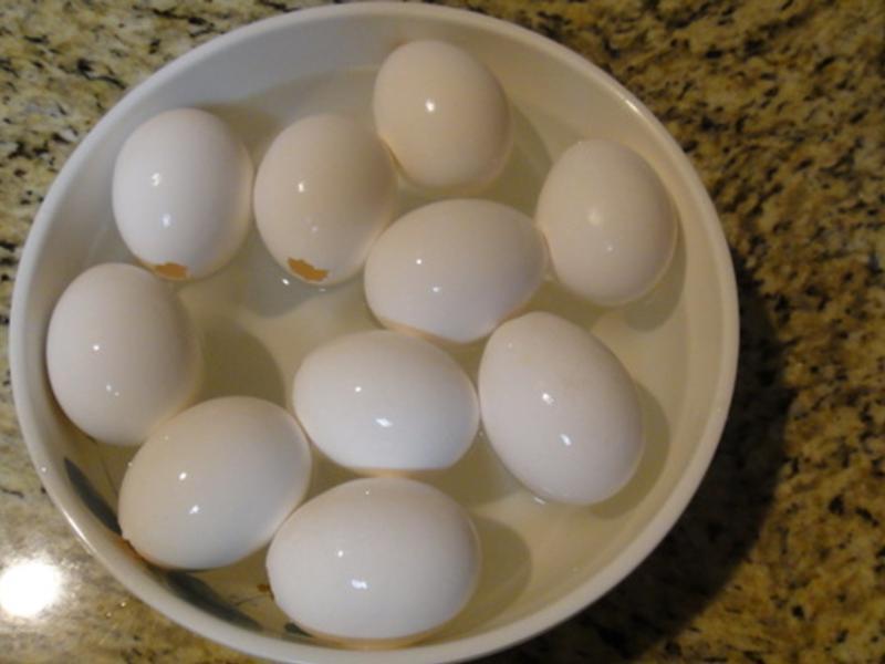 ����ڵ��ɿ����ɿɼ�������?!!!������