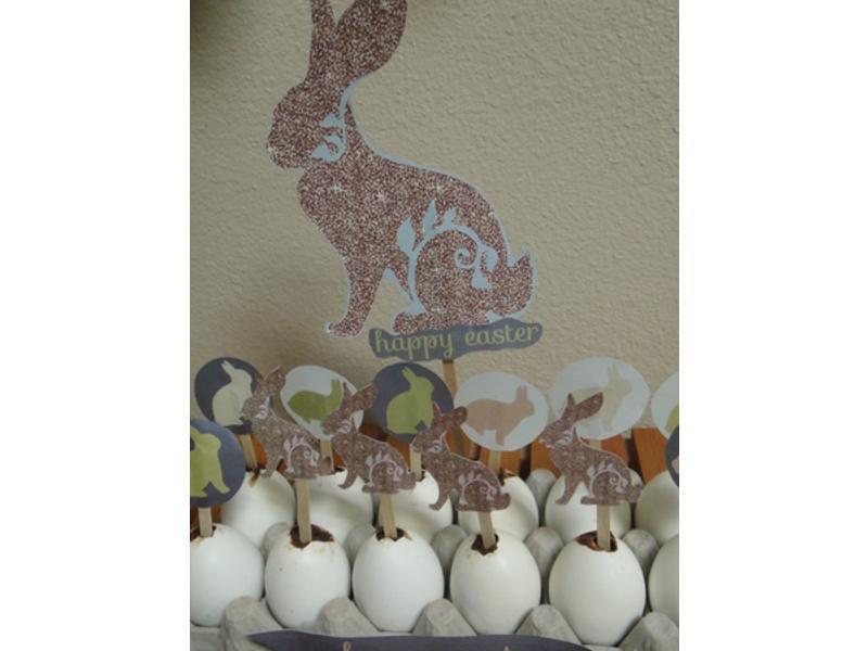 ����ڵ��ɿ����ɿɼ�������?!!!������