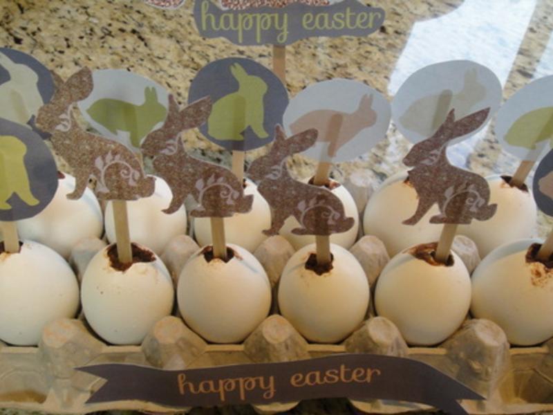 ����ڵ��ɿ����ɿɼ�������?!!!������