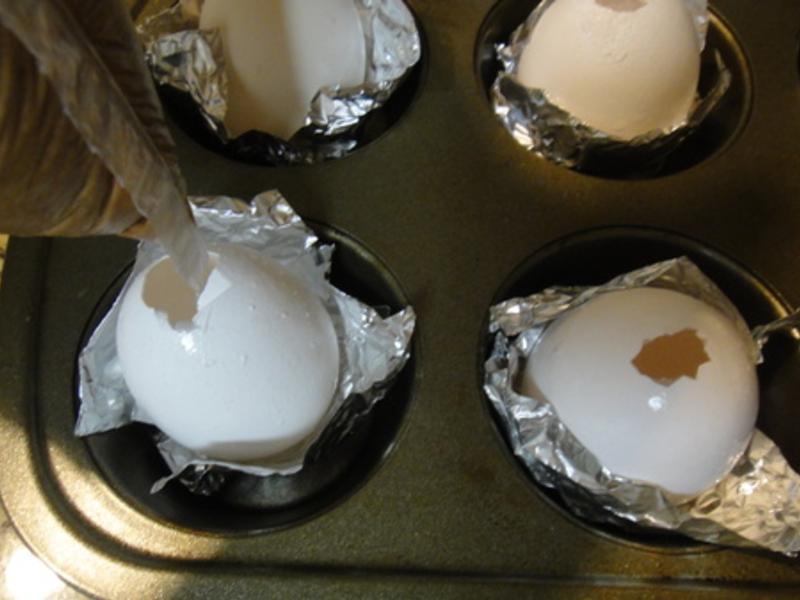 ����ڵ��ɿ����ɿɼ�������?!!!������