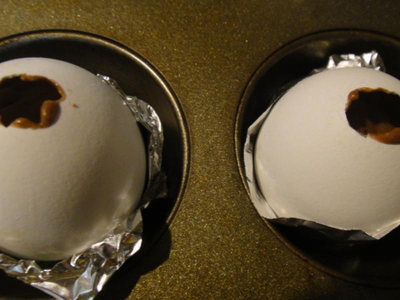 ����ڵ��ɿ����ɿɼ�������?!!!������