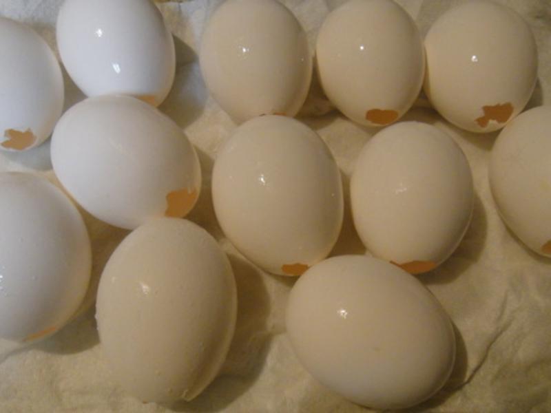 ����ڵ��ɿ����ɿɼ�������?!!!������