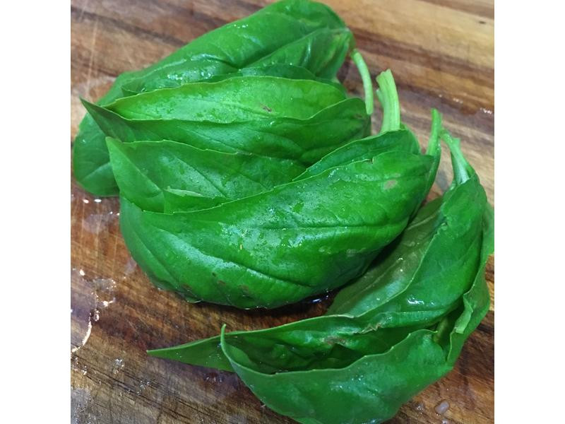 ���ռ���Ϻ�������