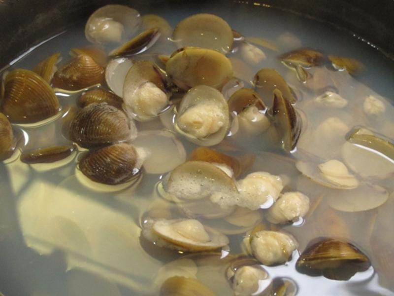 ��̦��ݷ�������