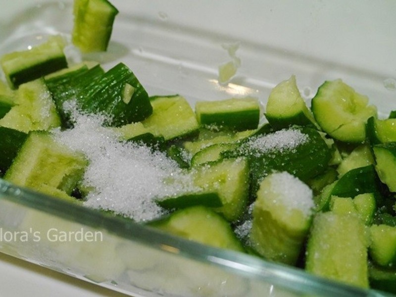 ����ʦ--����С�ƹϿ�����ζ��������