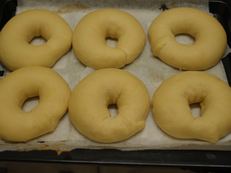 �ع����ұ���������