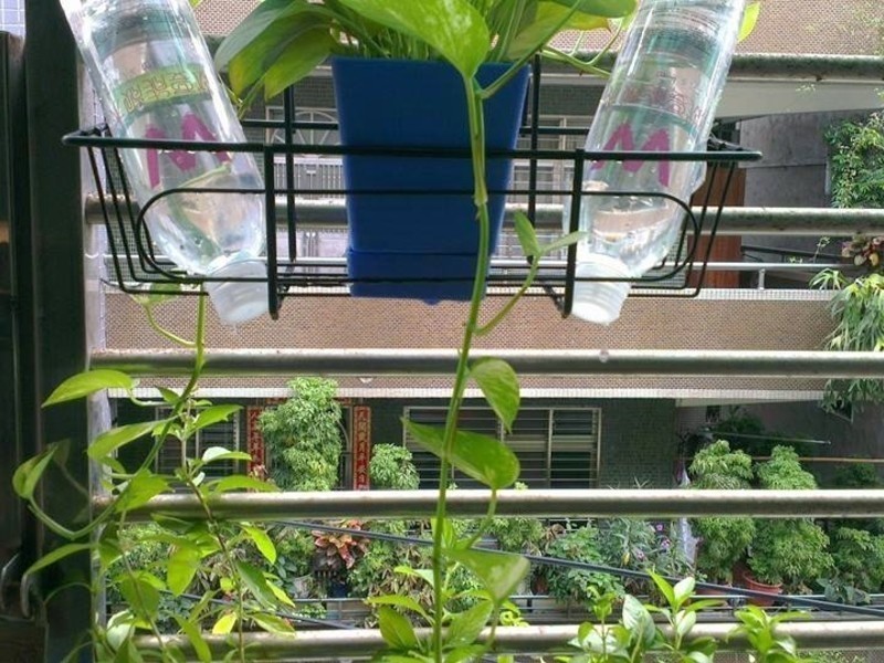 ���������ʶ���¶��Just Water��������