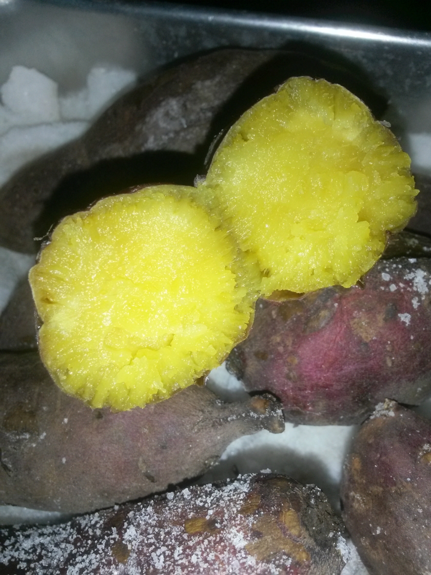 �Οh����������