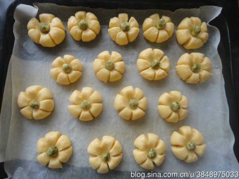 ��ʥ��Ӧ�����ġ��������Ϲϱ��ɵ�����