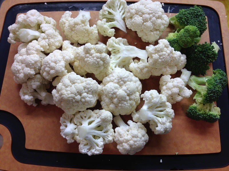 ��˾��֭����Ҭ�˵�����