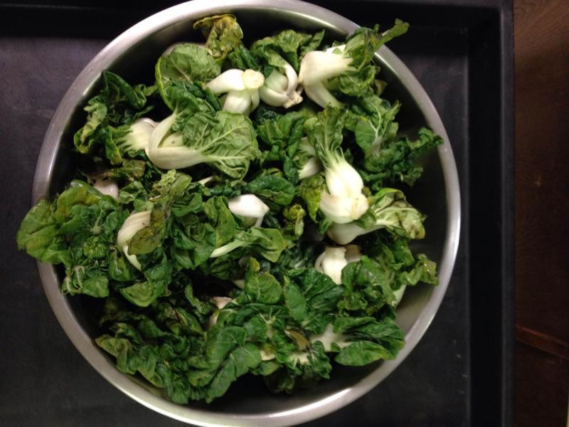 �����㹽�����������