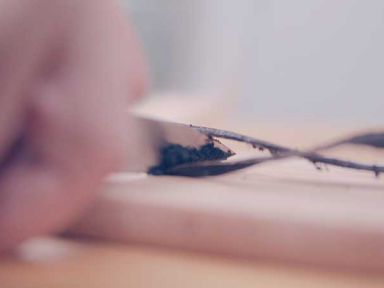 ��������Ȧ������