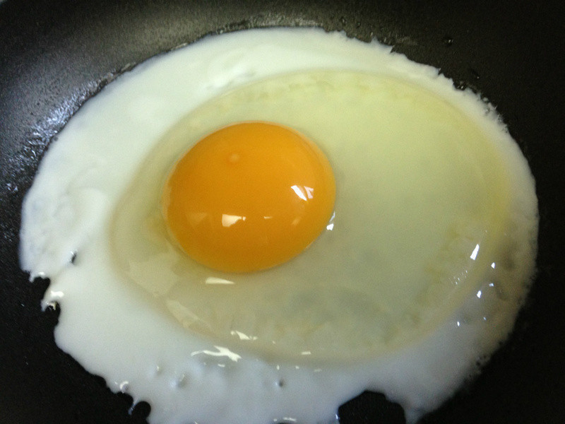 ��˾��԰�ɰ���������