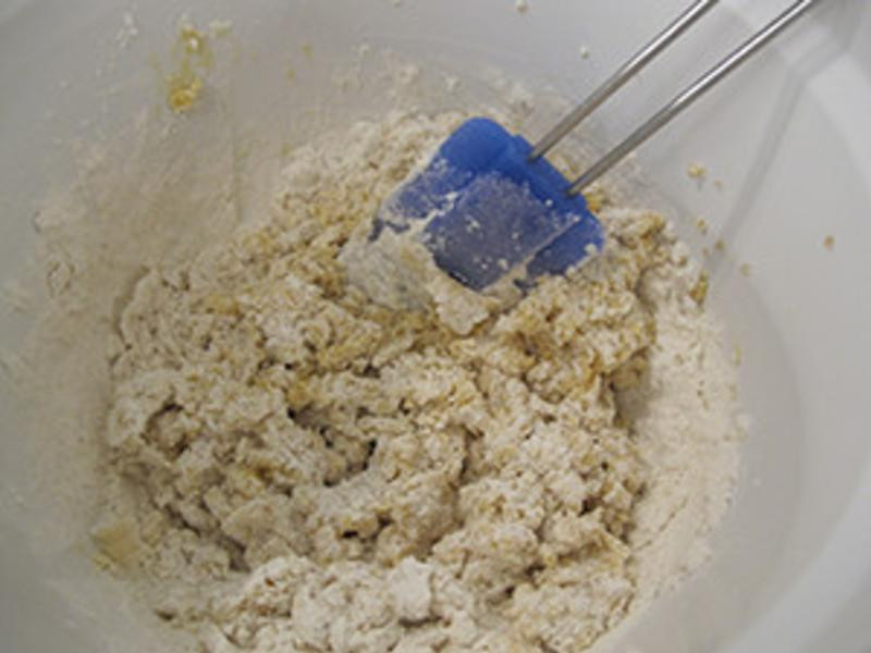 �����ɿ������ɵ�����