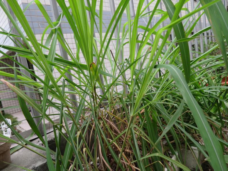 �̿������ʵ�����