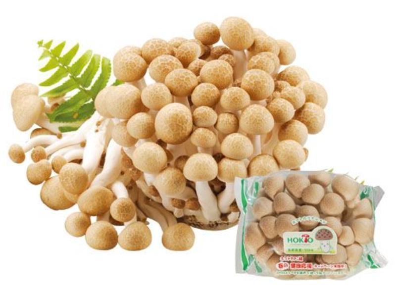 ��ʽ���ӣ��Ѽ������