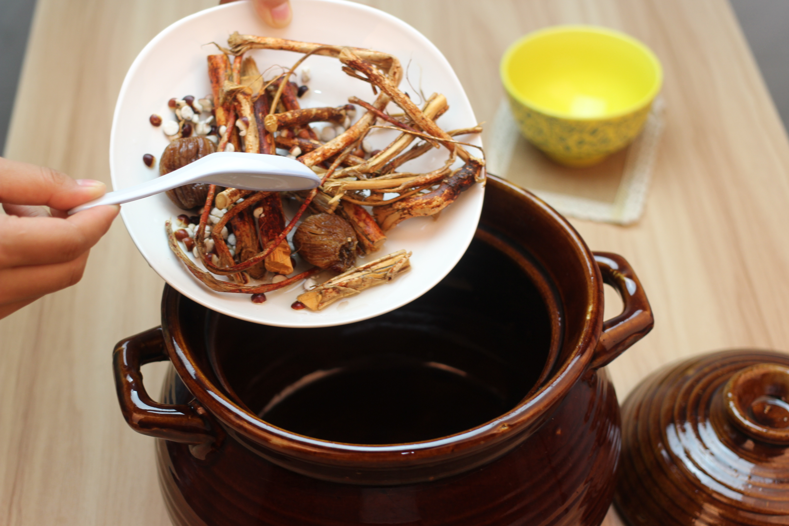 �㶫�ϻ�����-��ָë��������������