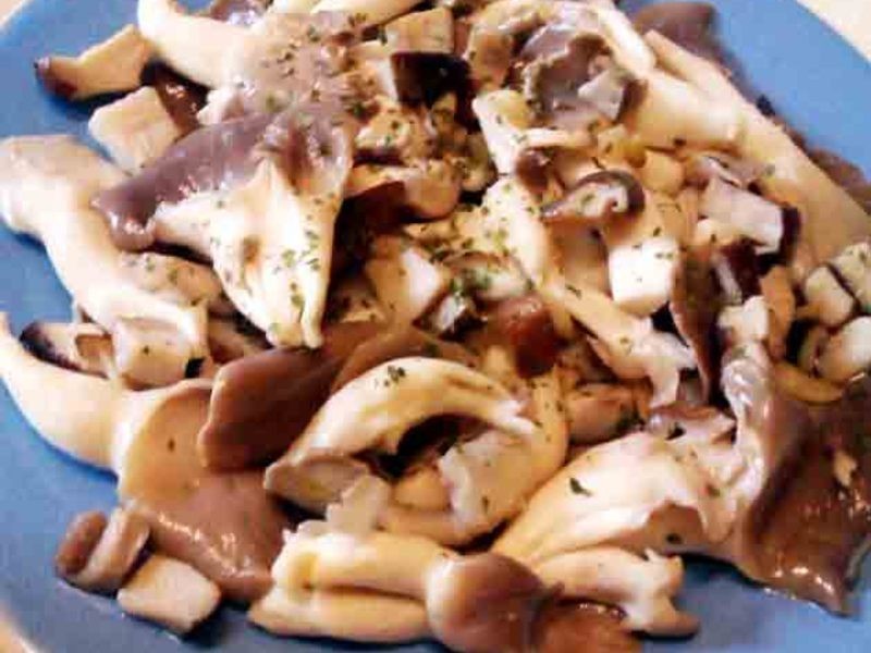 ��ʽ��˫��������