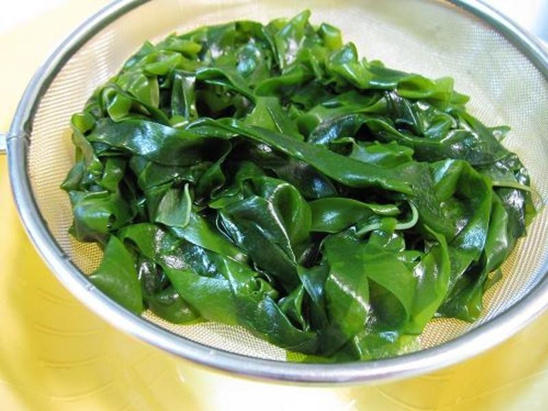 �����躣�� ��������