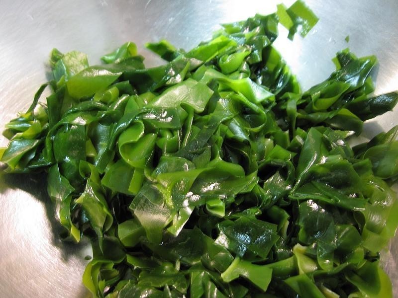 �����躣�� ��������