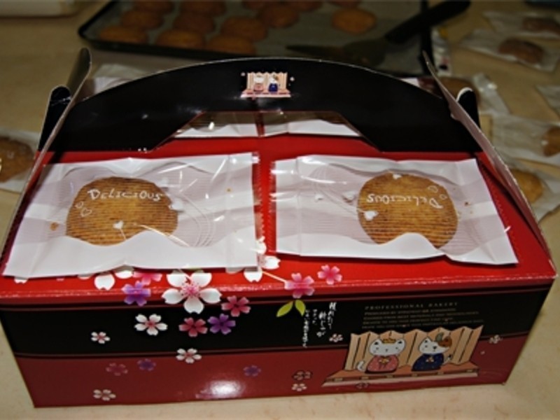 �����������ͱ��ɵ�����