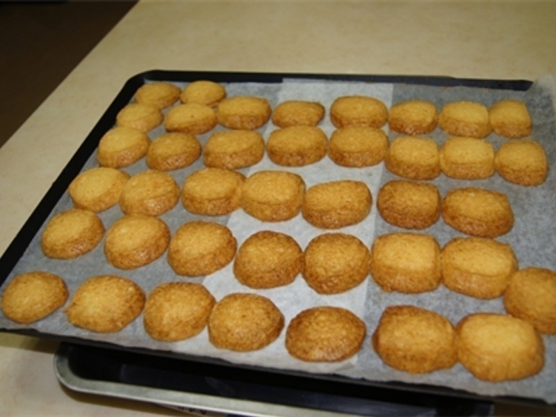 �����������ͱ��ɵ�����