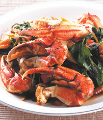 Ǻ����з�ŵ�����