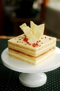 õ����֦���������