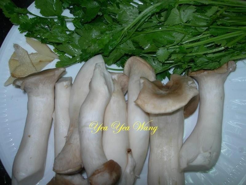 (��)������ӱ���������