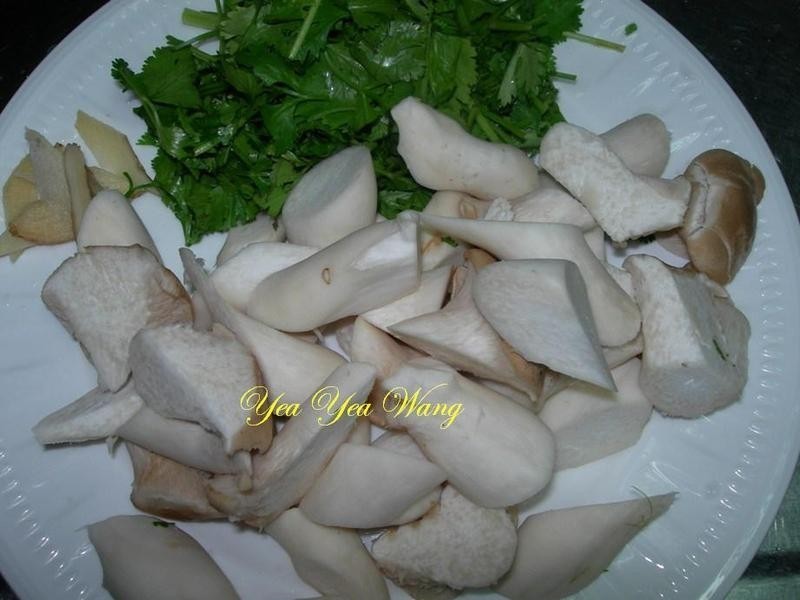 (��)������ӱ���������