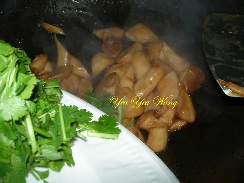 (��)������ӱ���������