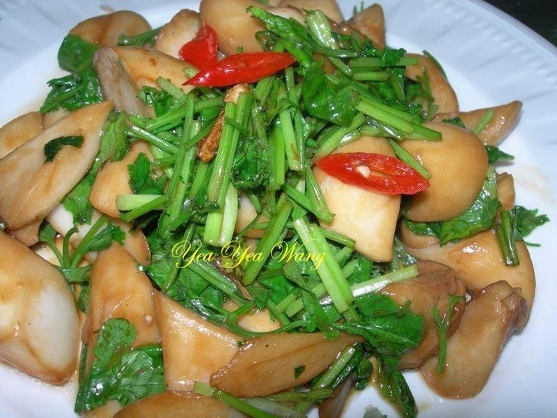 (��)������ӱ���������