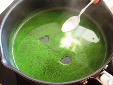 ǧҶ����[������ʳ��]������