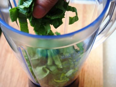 ǧҶ����[������ʳ��]������