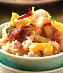 XO�����ݳ���������