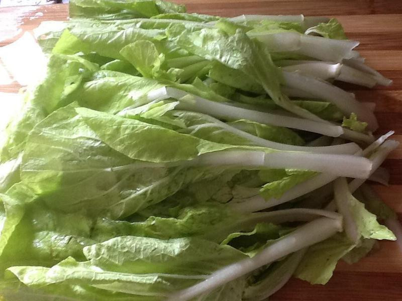 �������������⽣�������