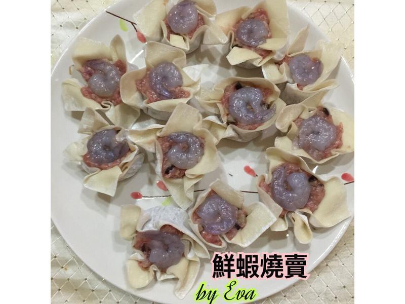 Eva?����?��Ϻ����������