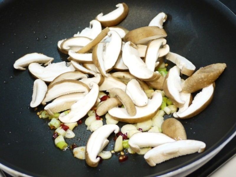 �ƽ���������ˬ����- �����ʹ�«��ʹ��������