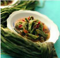 ������̵�����