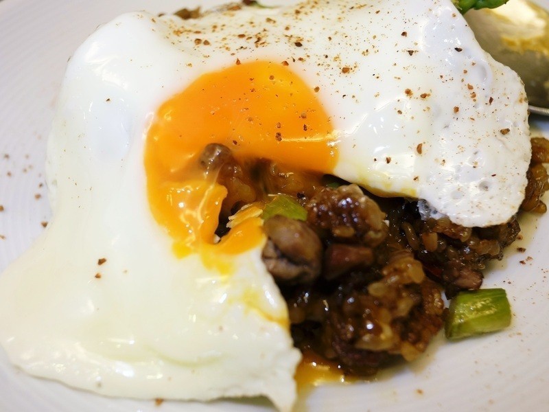 «��ţ�⳴��������