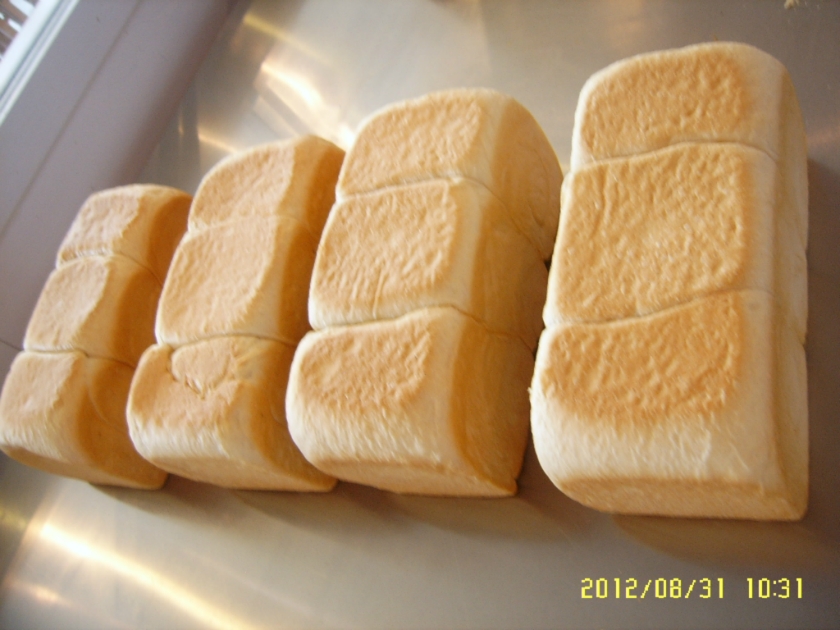 ������˾������